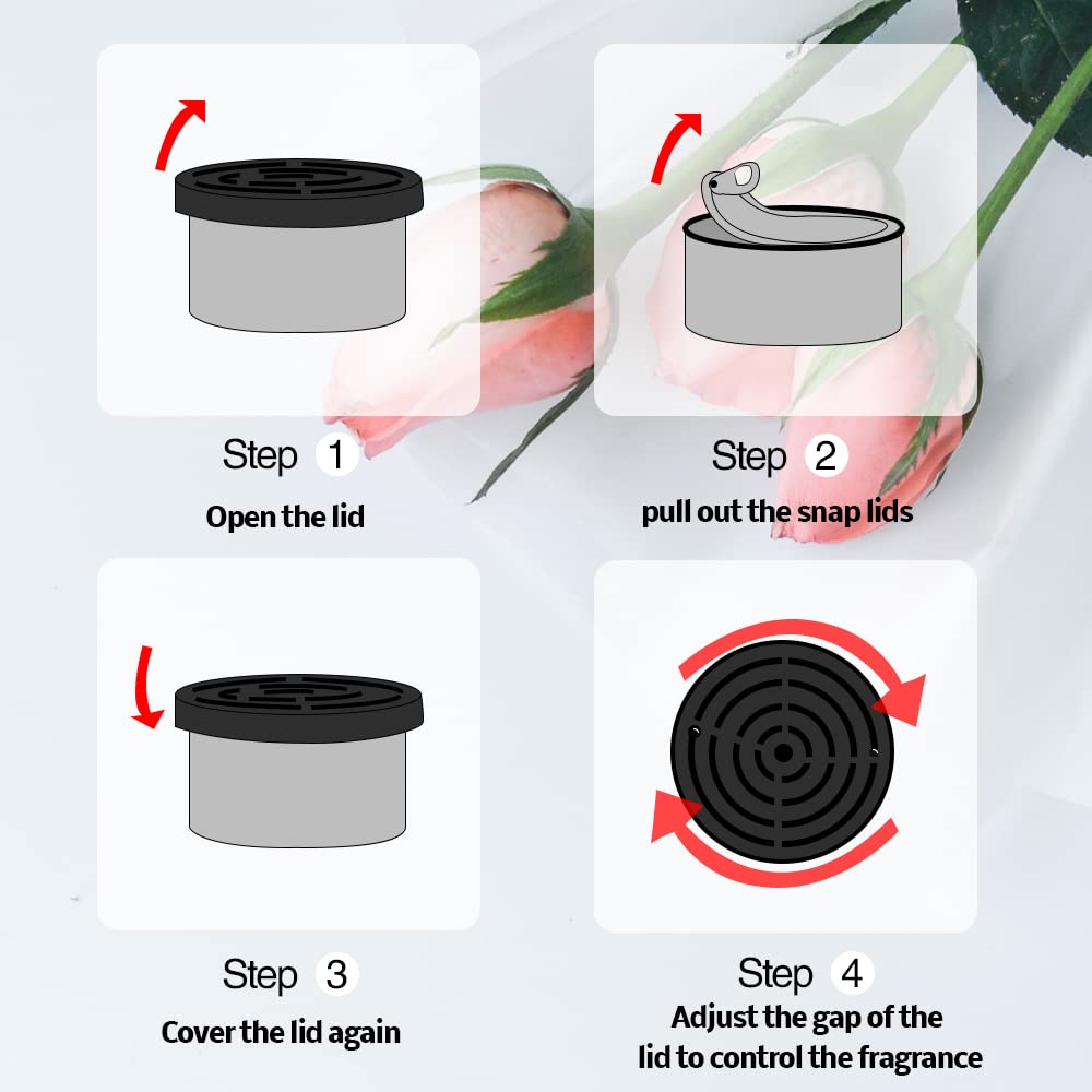 Car Air Freshener:   Coconut S - Home Fragrance Products 评论和价格