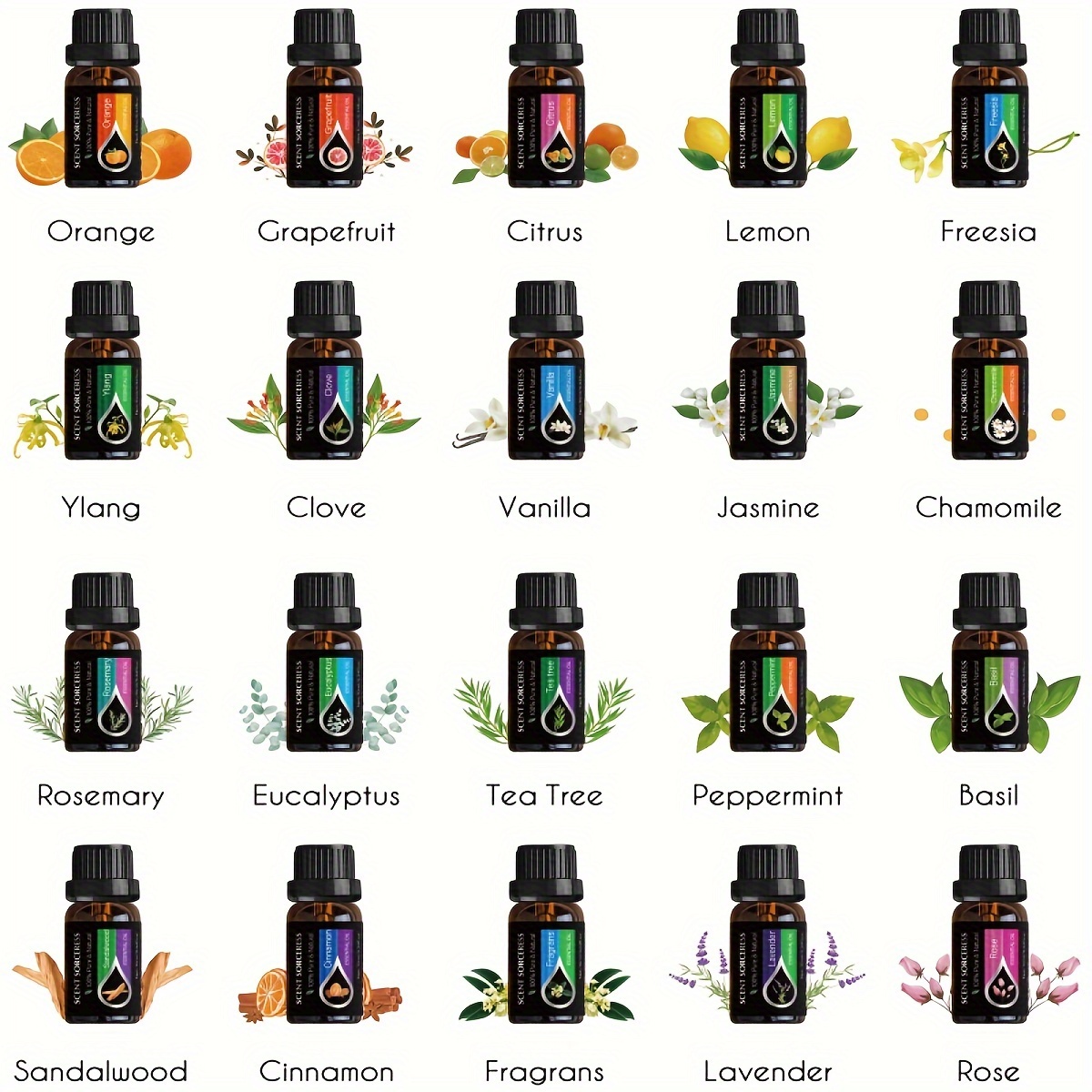 20Pcs/Set Classic Brand Essent - Fragrance Oil Set 评论和价格